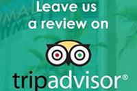 CityMall - Rate Us On Trip Advisor!