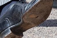 الأمير هاري.. حذاء مثقوب وثروة طائلة!