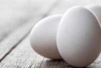 هل تعلم انّ تناول بيضة واحدة يوميًا يحميك من هذه الأمراض الخطيرة؟!