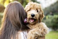 تربية الحيوانات الأليفة يساعد في علاج مرضى الاكتئاب