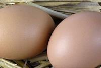  ماذا يحدث إذا تناول الإنسان البيض يوميا؟