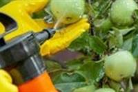 الأطعمة المرشوشة بالمبيدات خطراً يهدّد صحتكم...فتجنّبوها!