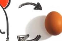  البيضة أولاً أم الدجاجة؟ إليكم الإجابة بحسب العلماء
