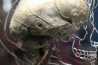 هل تكره الحفظ؟.. اليك الحلّ! 