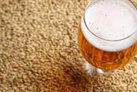 الشعير يُطهر الجسم من الكوليسترول