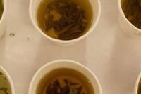 اليكم المشروب الأكثر فائدة لصحة الإنسان! 