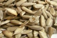 هل بذور دوار الشمس صحية؟ 