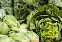 أطعمة تضعف العظام وأخرى تقوّيها