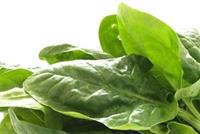 تأثيرات إيجابيّة للسبانخ على صحّة الحامل