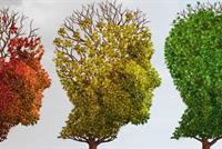 الحل الأمثل لضعف الذاكرة