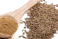 هل الكمون مفيد للحامل؟