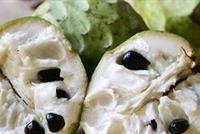 فوائد صحية لتناول «القشطة»