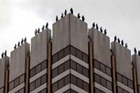 مهن تقود أصحابها إلى الانتحار