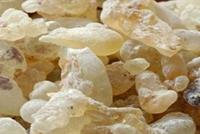 اللبان قد يصبح علاجا رئيسيا لالتهاب المفاصل