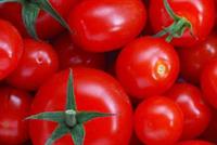 احذروا الطماطم.. يمكن أن تشكل خطرا على صحتكم