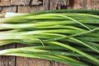 فوائد للبصل الاخضر مهمّة جداً من الناحية الصحية!