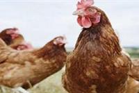 العلماء يؤكدون أننا نعيش 