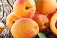 ٧ فوائد للمشمش