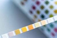 ما هو سكر البول وما هي اعراضه