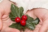  فوائد مذهلة لنبات الدبق.. تعرفي إليها! 