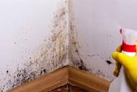  يعاني منه كثير من اللبنانيين شتاءً...العَفَن على الجدران يُهدّد الحياة!