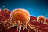 علاج جديد يقضي على السرطان المتقدّم...