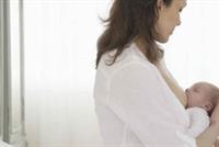 من هي الدولة 