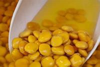 الترمس ضروري للجسم.. ويحميكم من هذه الأمراض