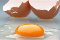 البيض وقوة النظر.. دراسة تكشف 