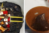 يُهرّب الطيور عبر 