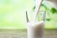 متى يكون تناول الحليب ومشتقاته من مسببات الغازات؟