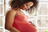 ما علاقة الهواء الملوث بالجهاز التناسلي للإناث؟