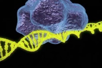 دراسة تكشف خطر 