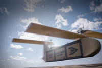 تعرّفوا إلى 