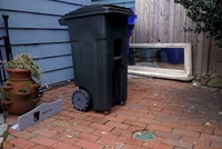 صناديق قمامة ذكية.. آخر صيحات التكنولوجيا