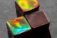 تعرف على آخر صيحات العلم في 