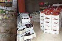  بالصور: ضبط 