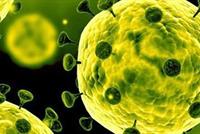 إصابة 11 راهباً بفيروس 