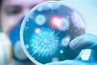 اكتشاف جسم مضاد يمنع عدوى فيروس كورونا