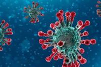 فيروس كورونا يصيب عائلةً لبنانيّة بكارثة