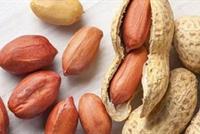 الفول السوداني يحرق الدهون لاحتوائه على البروتينات