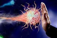 تعليمات من منظمة الصحة العالمية لتقوية مناعة الجسم