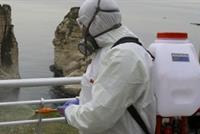 فترة التزام اللبنانيين لمنازلهم وعدم اختلاطهم لن تكون اسابيع بل لأشهر وربما لسنة واكثر 