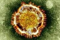  فنانة عربية تعلن إصابتها بفيروس كورونا