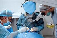 علماء يقترحون طريقة جديدة لعلاج العمى لدى كبار السن