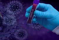 نظرة على رحلة فيروس كورونا عبر الجسم