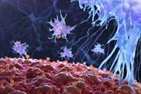 عالم فيروسات ألماني: هؤلاء يمكن أن يحظوا بمناعة ضد COVID-19