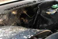 لا تترك معقم اليدين في السيارة.. حادثة جديدة تدق ناقوس الخطر