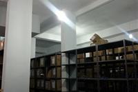 Warehouse For Sale In Naccache